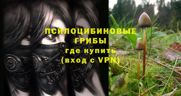 а пвп мука Тобольск