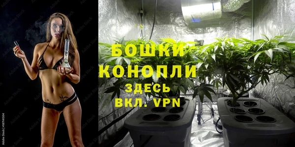 тгк Вяземский