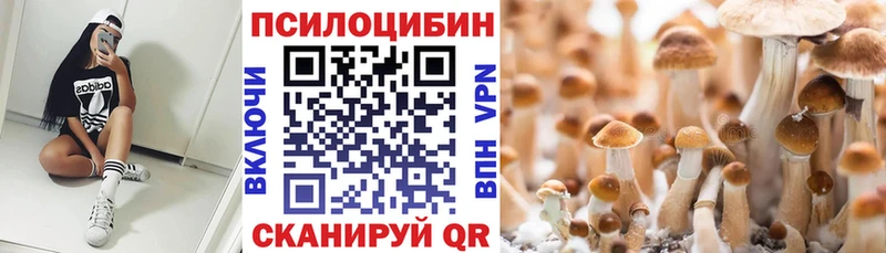Псилоцибиновые грибы Magic Shrooms Горячеводский